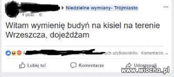 Budyń