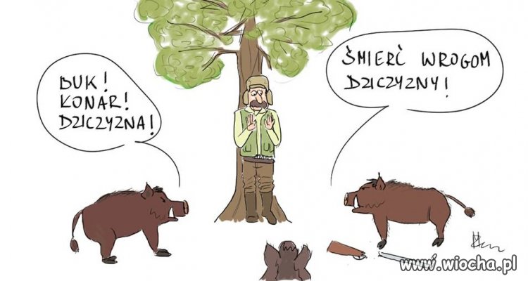 Buk, konar, dziczyzna