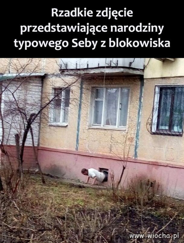Narodziny Seby