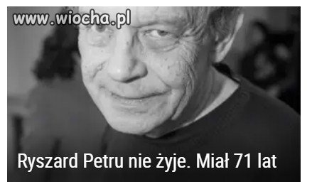 Profesjonalizm WP.PL
