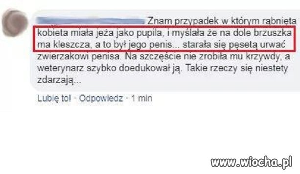 Biedny jeż