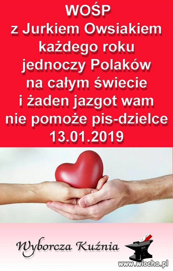 WOŚP górą