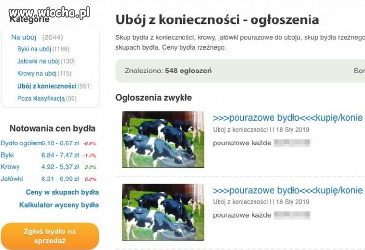 Smacznego KEBABA życzą producenci mięsa z "leżaka"