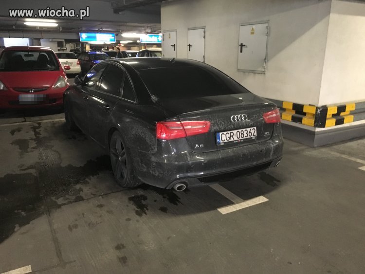 Mistrz parkowania