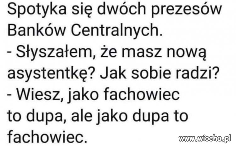 Fachowiec 
