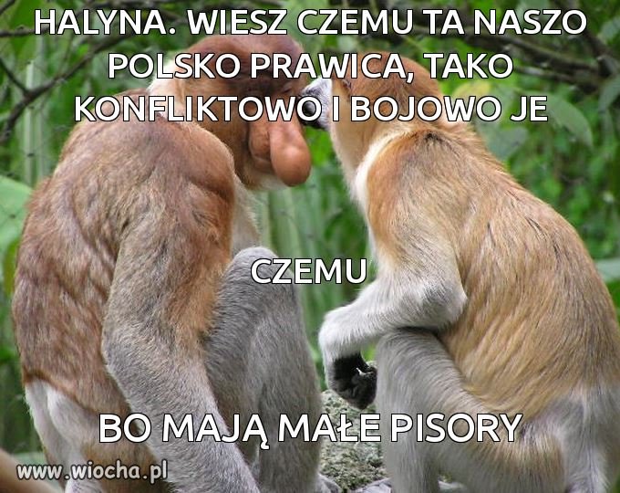 Prawica...
