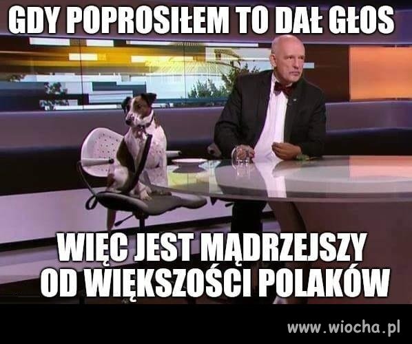 Odi   