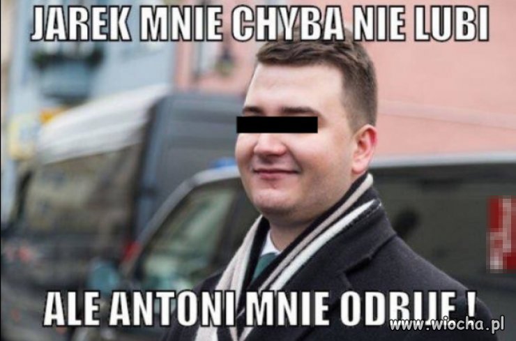 Miś w opałach! Czy Antonii pomoże?