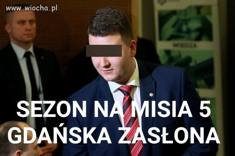 Wilki, dziki, łosie, żurawie a teraz misie
