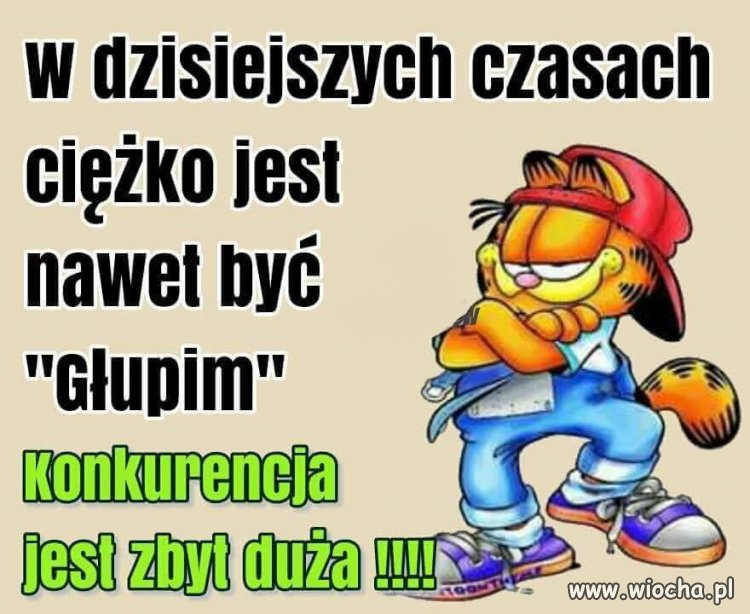 Coś w tym jest...