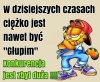 Coś w tym jest...
