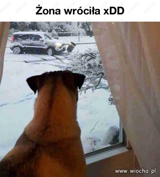 Zimowe klimaty