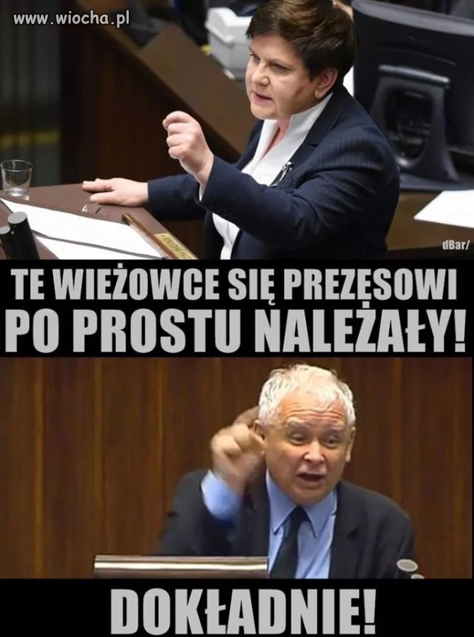Nam się należy plus
