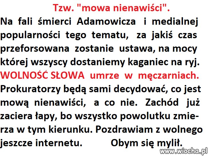 Tzw. mowa nienawiści. Mam wrażenie, że pieprzenie