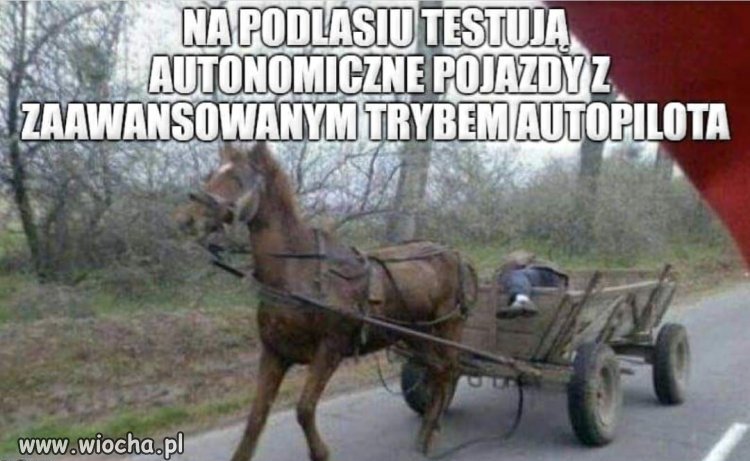 Nowinki technologiczne z Podlasia