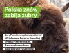 Jednego nie rozumiem