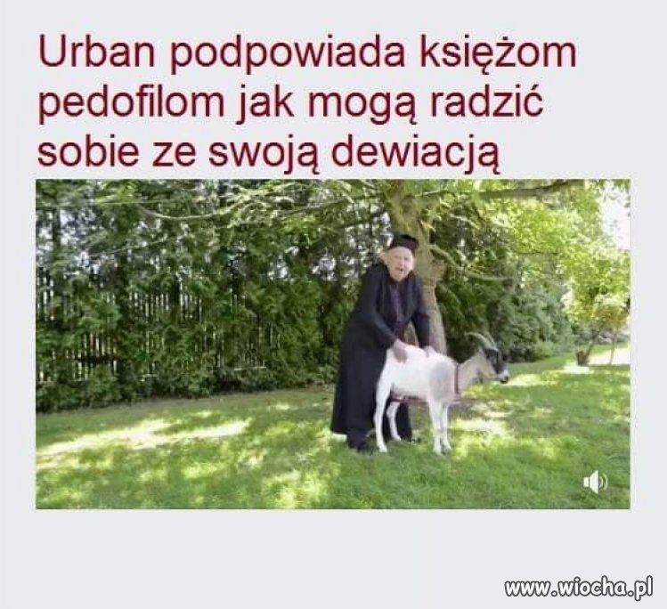 Troll mistrz !!!