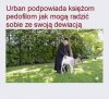 Troll mistrz !!!