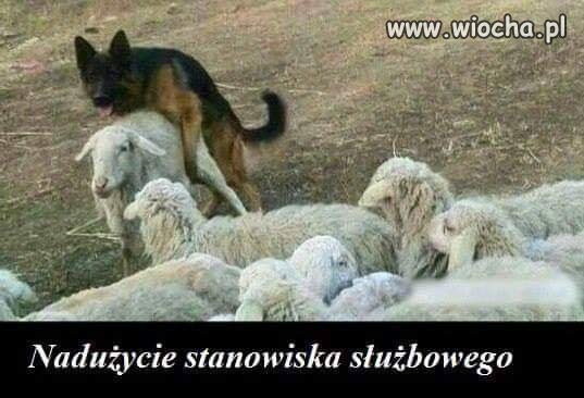 Polska rzeczywistość.