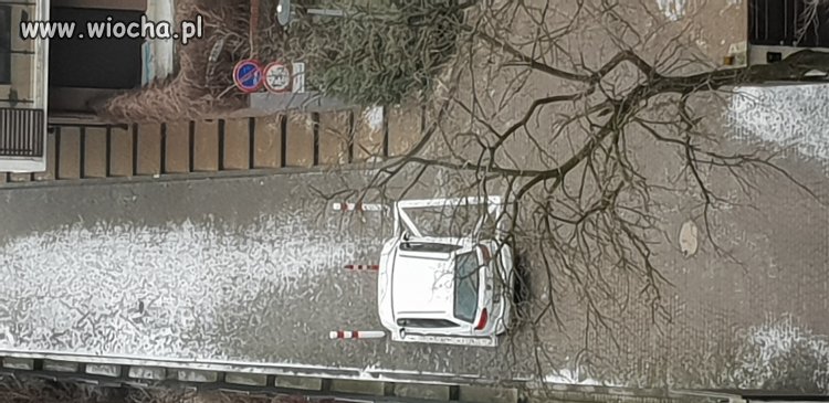 A co ja nie mogę?