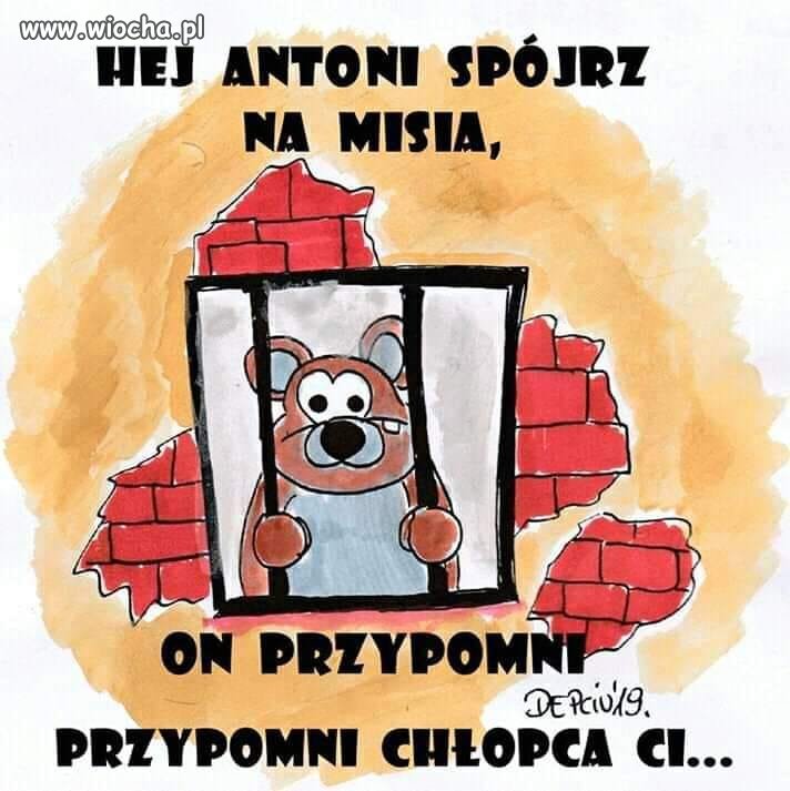 ...Biały miś nie kochany Porzucony już dawno w ciemny kąt