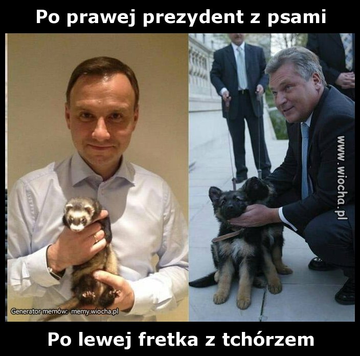 Po prawej prezydent z psami 