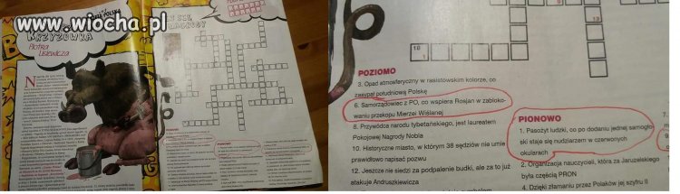 Krzyżówka prawaka
