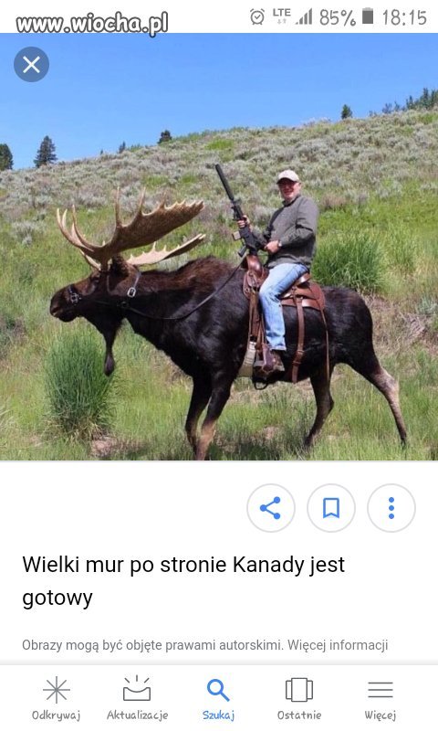Łosiem na łosia...