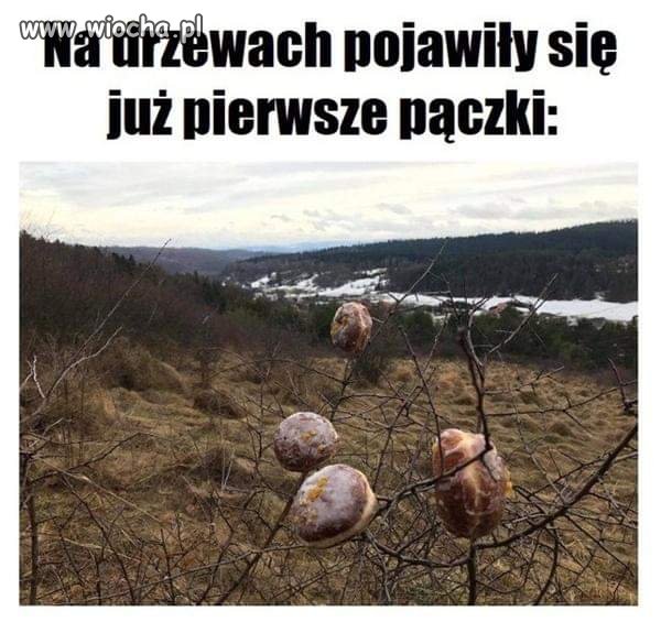 Wiosna tuż tuż 