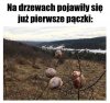 Wiosna tuż tuż 