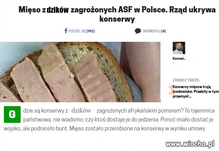 Czerwiec 2019