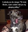 Idź po tą piłkę