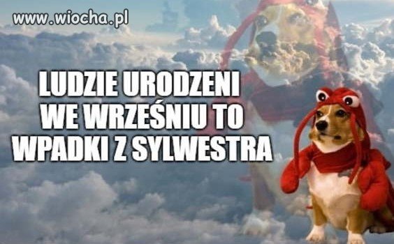 Bez obrazy...