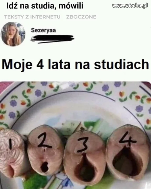 Studia