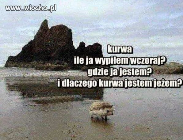Stan gry.