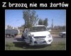 Siła brzozy...