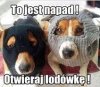 Napad