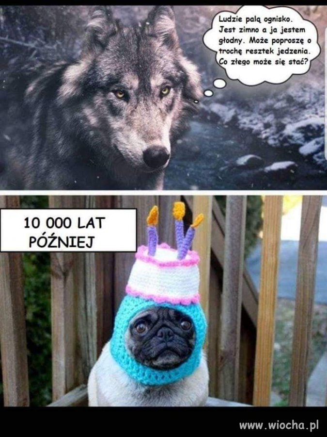 Ludzie...