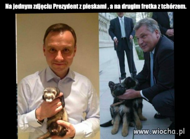 Bez komentarza