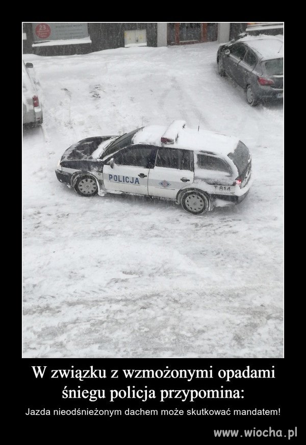 Świecą przykładem...