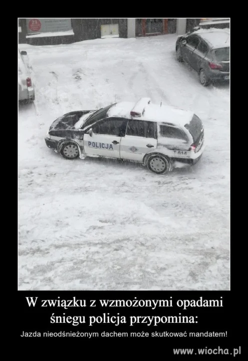 Świecą przykładem...