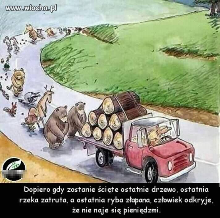 Granice absurdu...