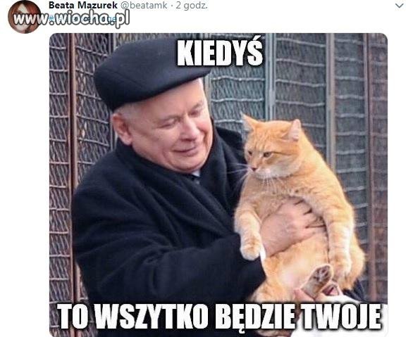 No właśnie 