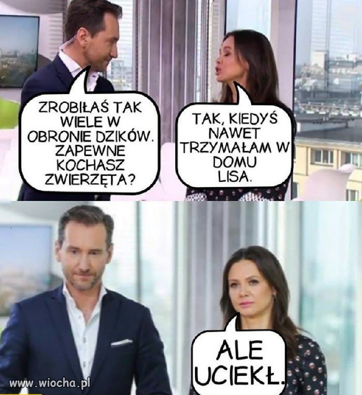 Kochasz zwierzęta?