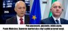 Gdzie podają te smaczne ośmiorniczki i kremówki