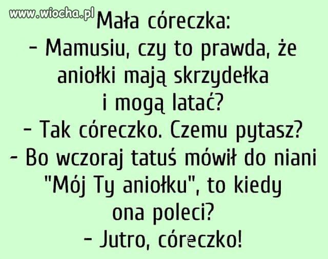 No to się wrąbał...