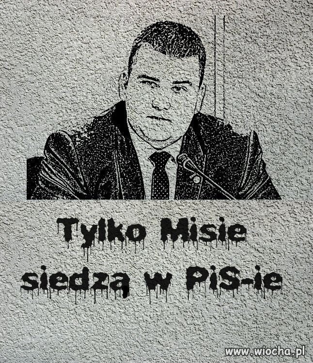 Tylko Misie...
