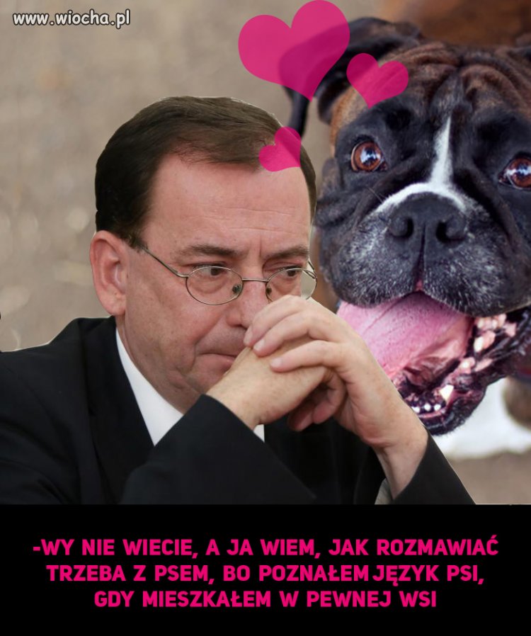 Kamińsk całował psa po pijaku.