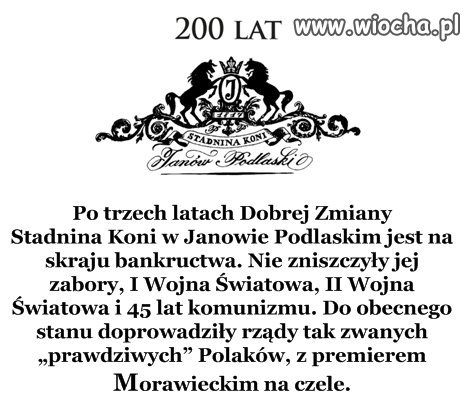 A pisowi się udało