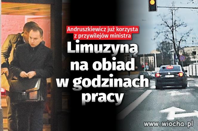 Kolejna świnia